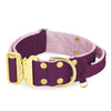 Extreme Gold Buckle Plum - Robustes und sicheres Halsband