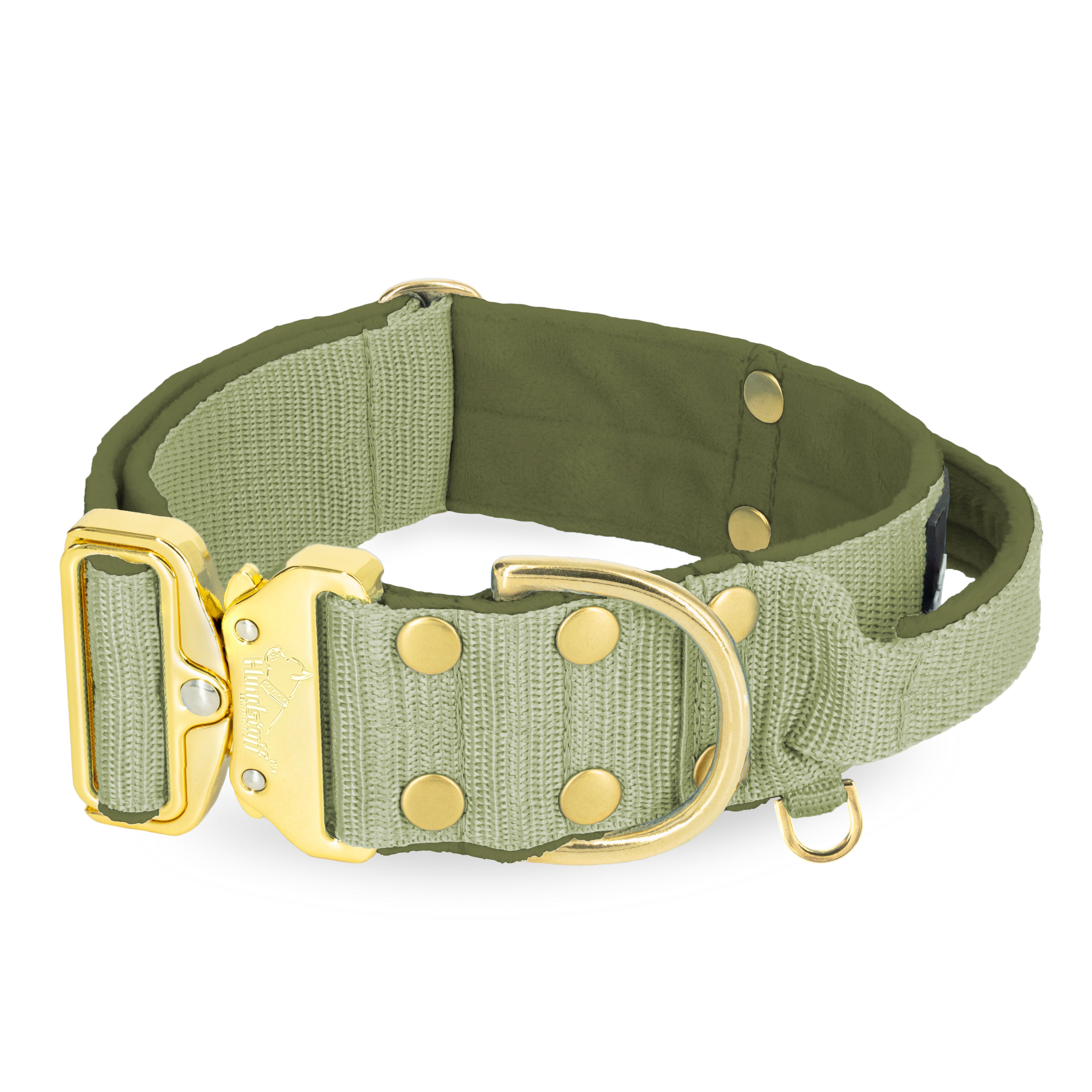 Extreme Gold Buckle Olivgrün - Robustes und sicheres Halsband