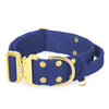 Extreme Gold Buckle Navy Blue -  Robustes und sicheres Halsband