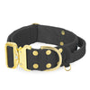 Extreme Goldschnalle Dark Grey - Robustes und sicheres Halsband