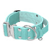 Extreme Silver Buckle Mint - Starke und sichere Halsband