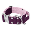 Extreme Silver Buckle Plum - Starke und sichere Halsband