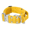 Extreme Silver Buckle Yellow - Starkes und sicheres Halsband