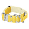 Extreme Silver Buckle Baby Yellow - Starkes und sicheres Halsband