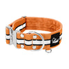 Extreme Silver Buckle Safe Orange - Sicheres reflektierendes Halsband