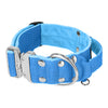 Extreme Silver Buckle Ocean Blue - Starke und sichere Halsband