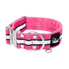 Extreme Silver Buckle Safe Pink- Sicheres reflektierendes Halsband