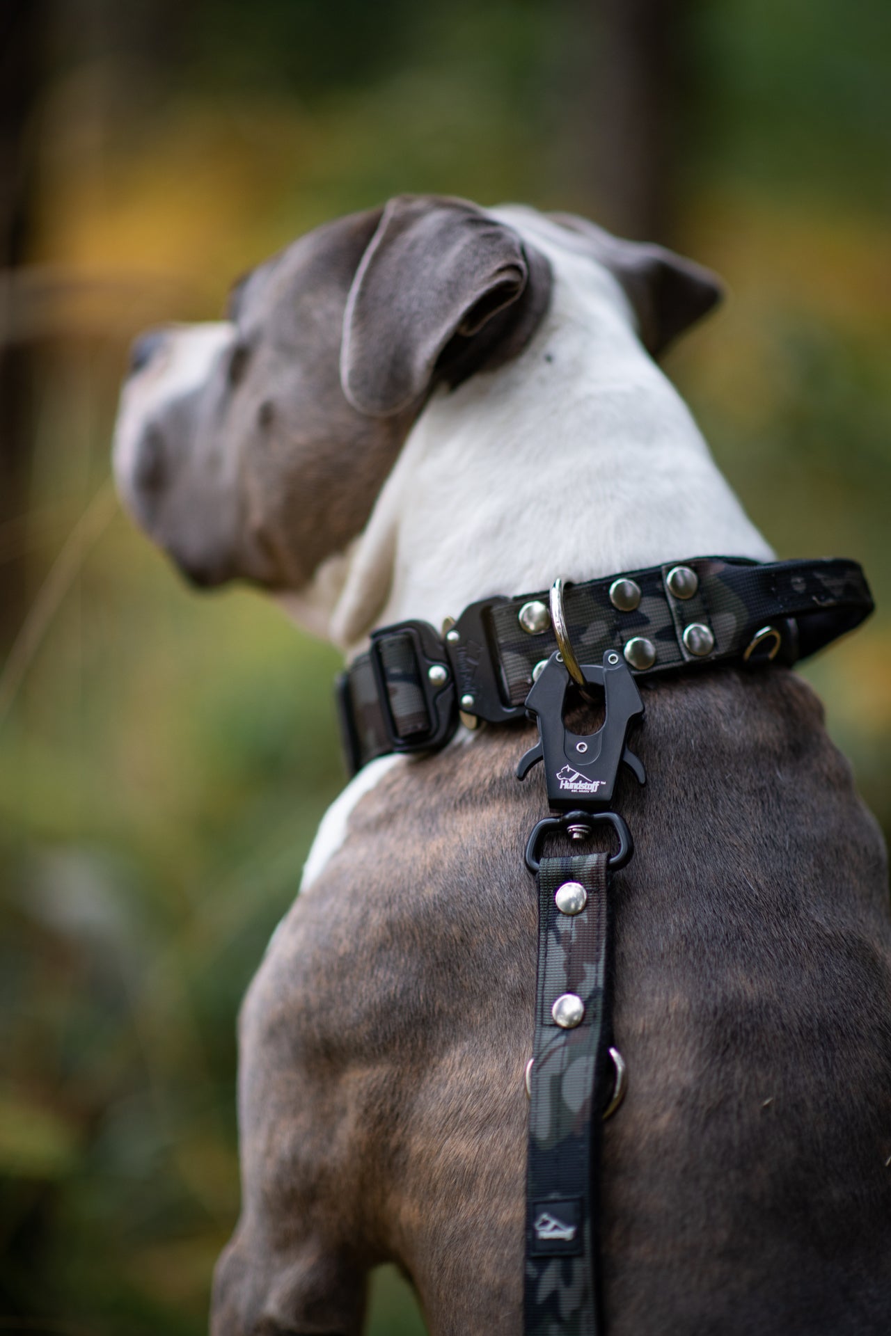 Walk Leash Camo Black - Sichere Nylonleine in verschiedenen Längen