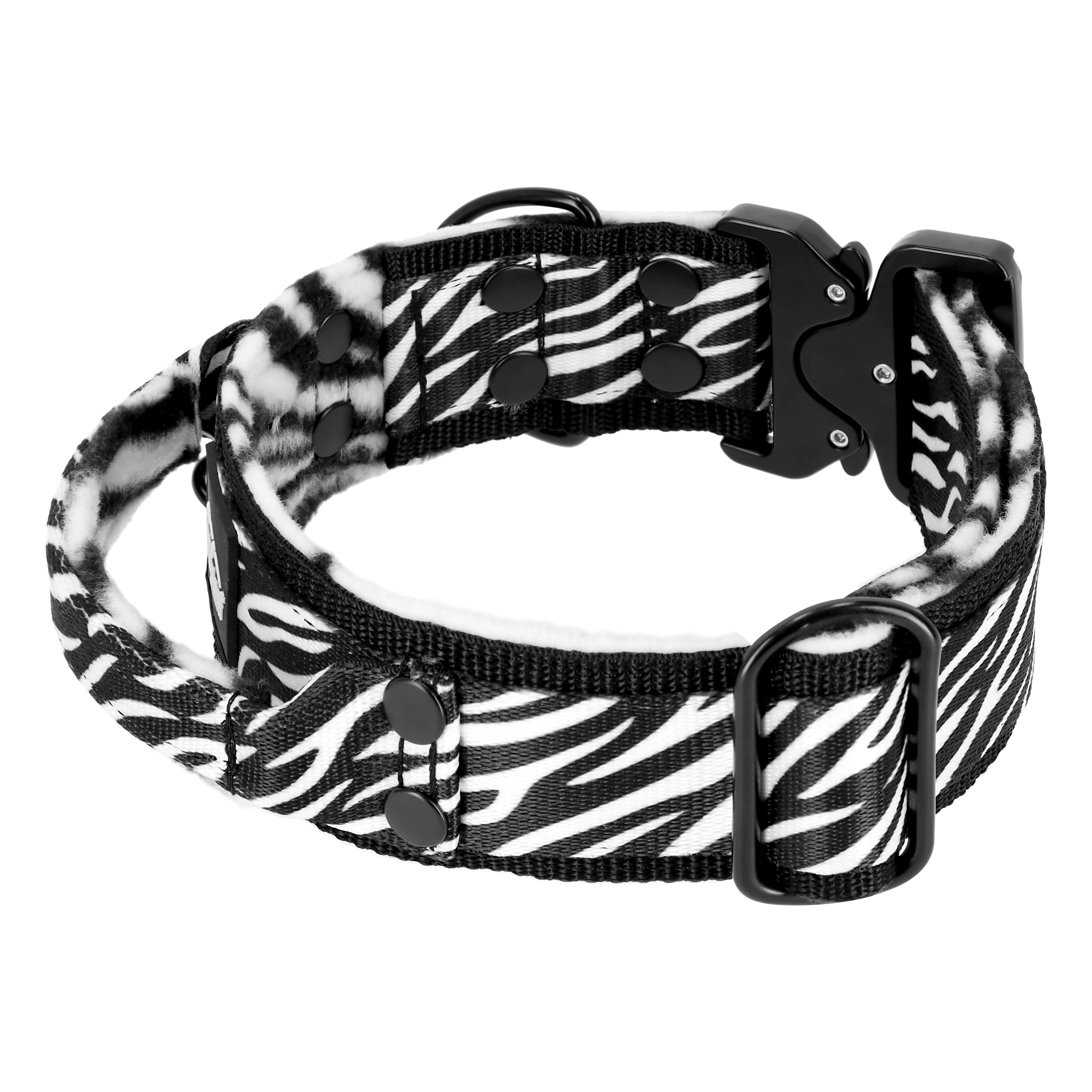 Extreme Buckle Zebra - Starkes und sicheres Hundehalsband