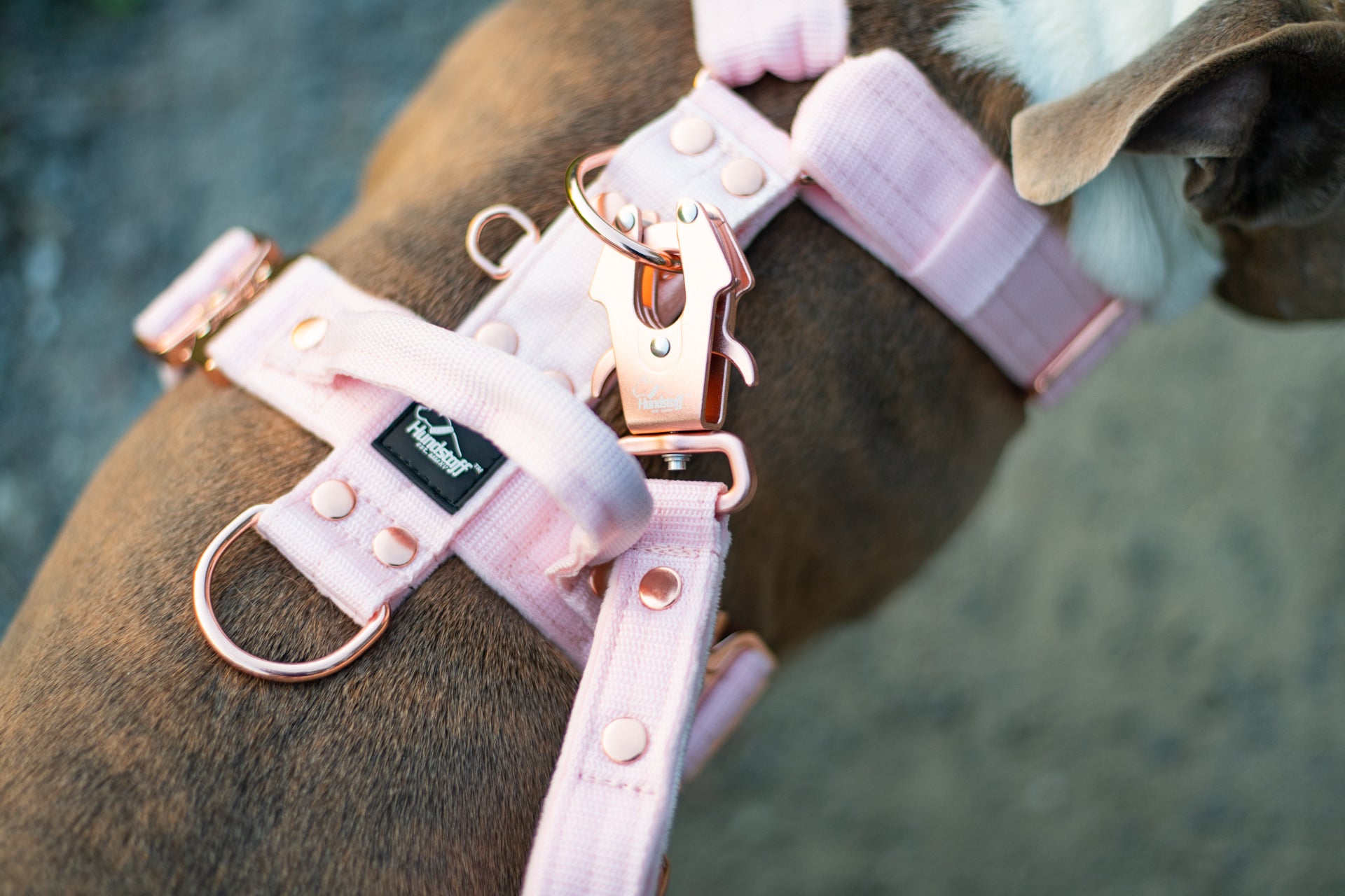 Easy Walk Rose Edition Pastellrosa - Geschirr mit Griff