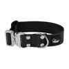 Extreme Buckle BioFlex Silver Edition Schwarz - Wasserabweisendes und sicheres Halsband