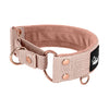 Martingale Rose Edition Pastellbeige - Breites gefüttertes Halbhalsband