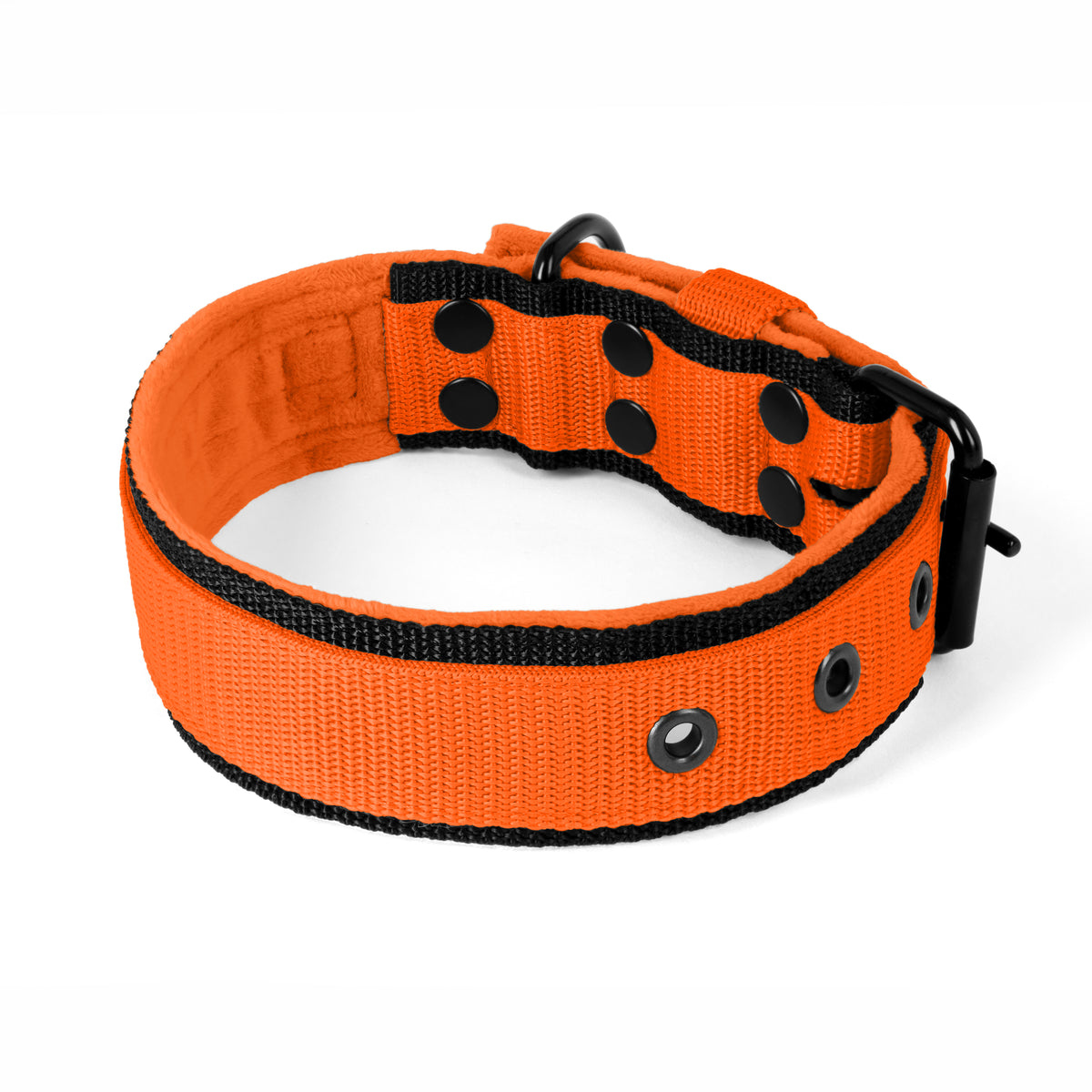 Active Black Edition Orange