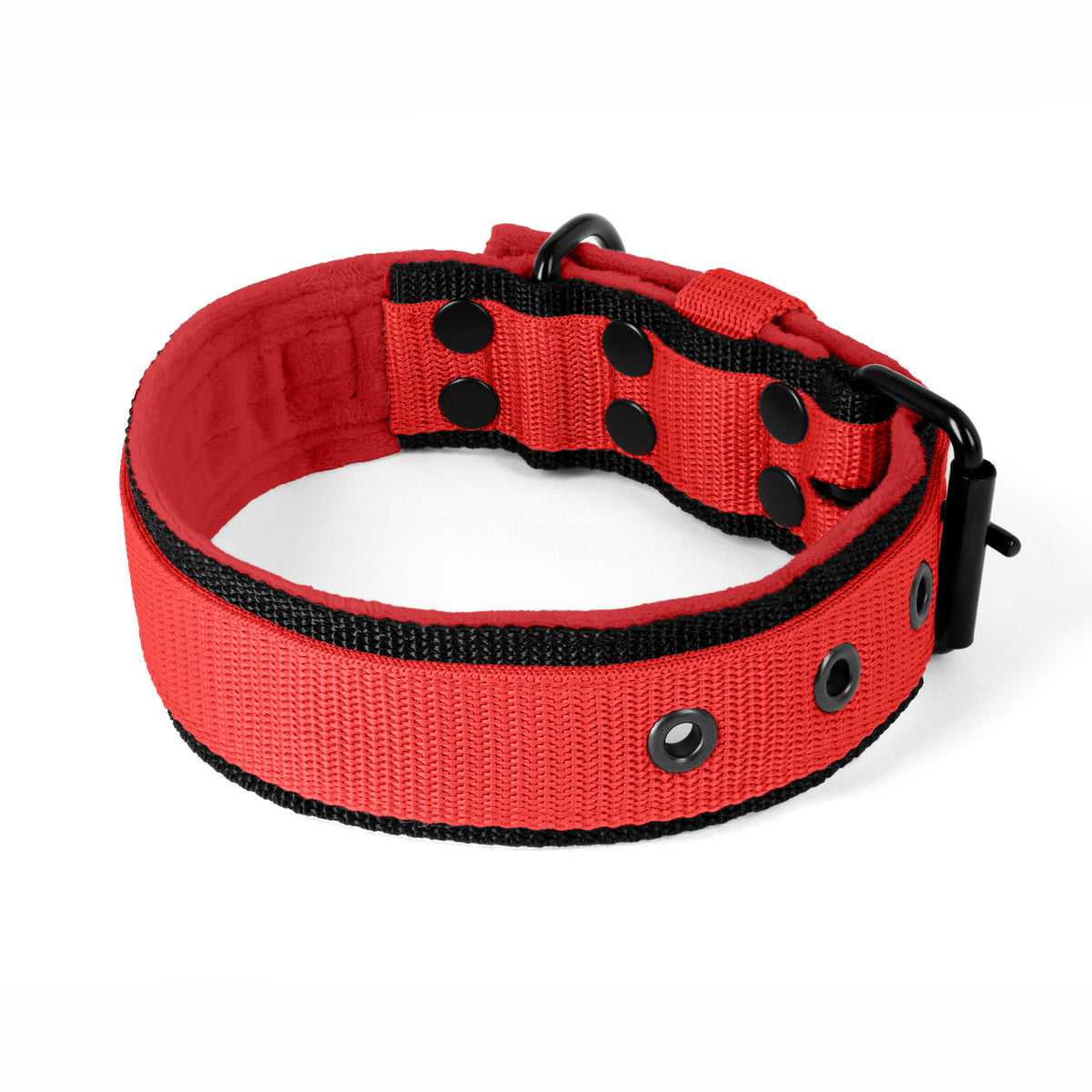 Active Black Edition Red