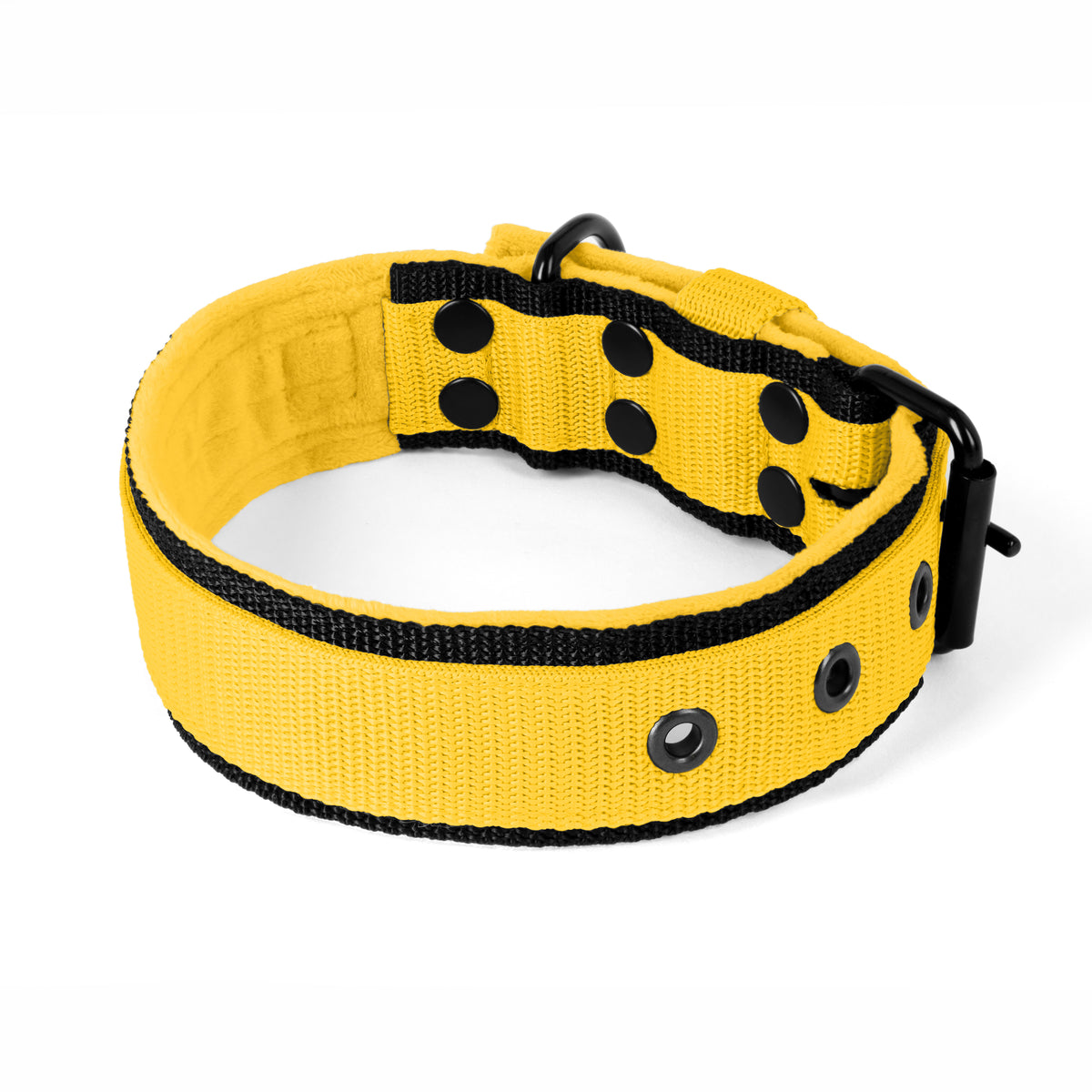Active Black Edition Yellow
