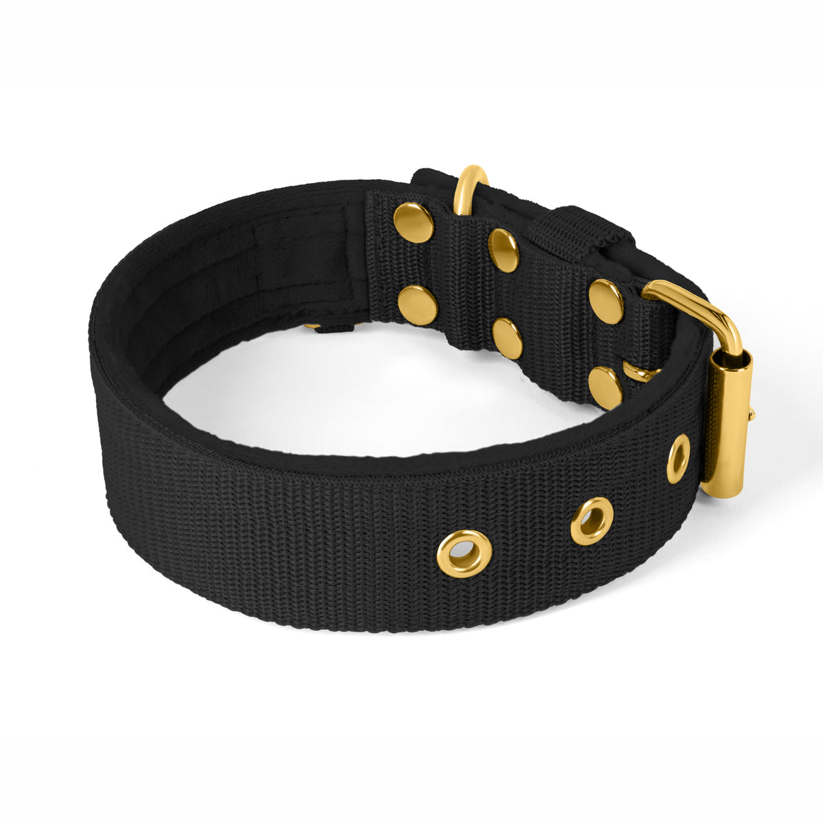 Active Gold Edition Black