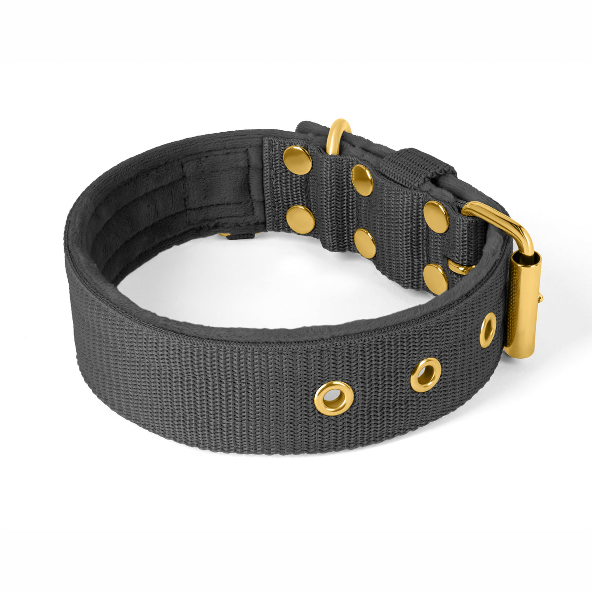 Active Gold Edition Dark Grey