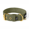 Active Gold Editioin Khaki