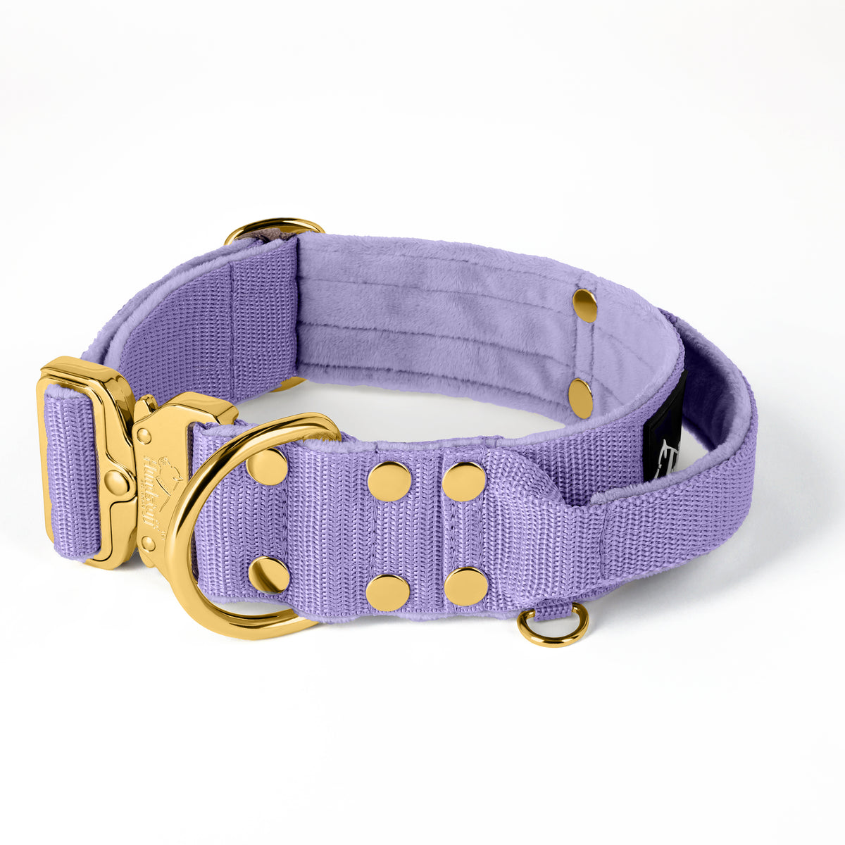 Extreme Buckle Gold Edition Baby Purple