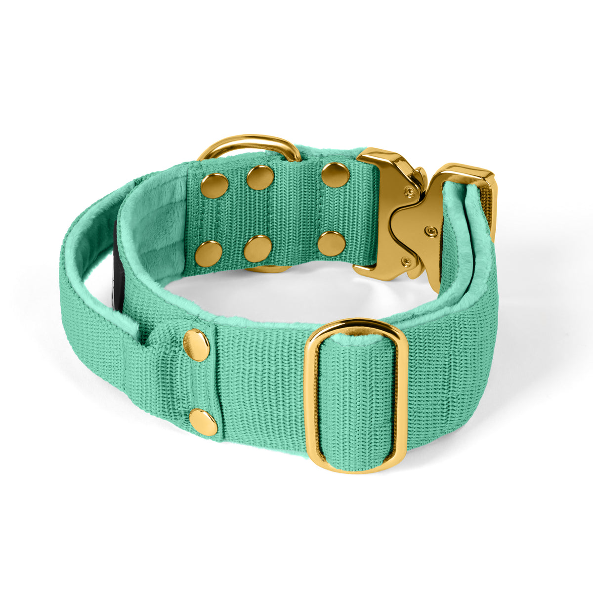 Extreme Buckle Gold Edition Mint