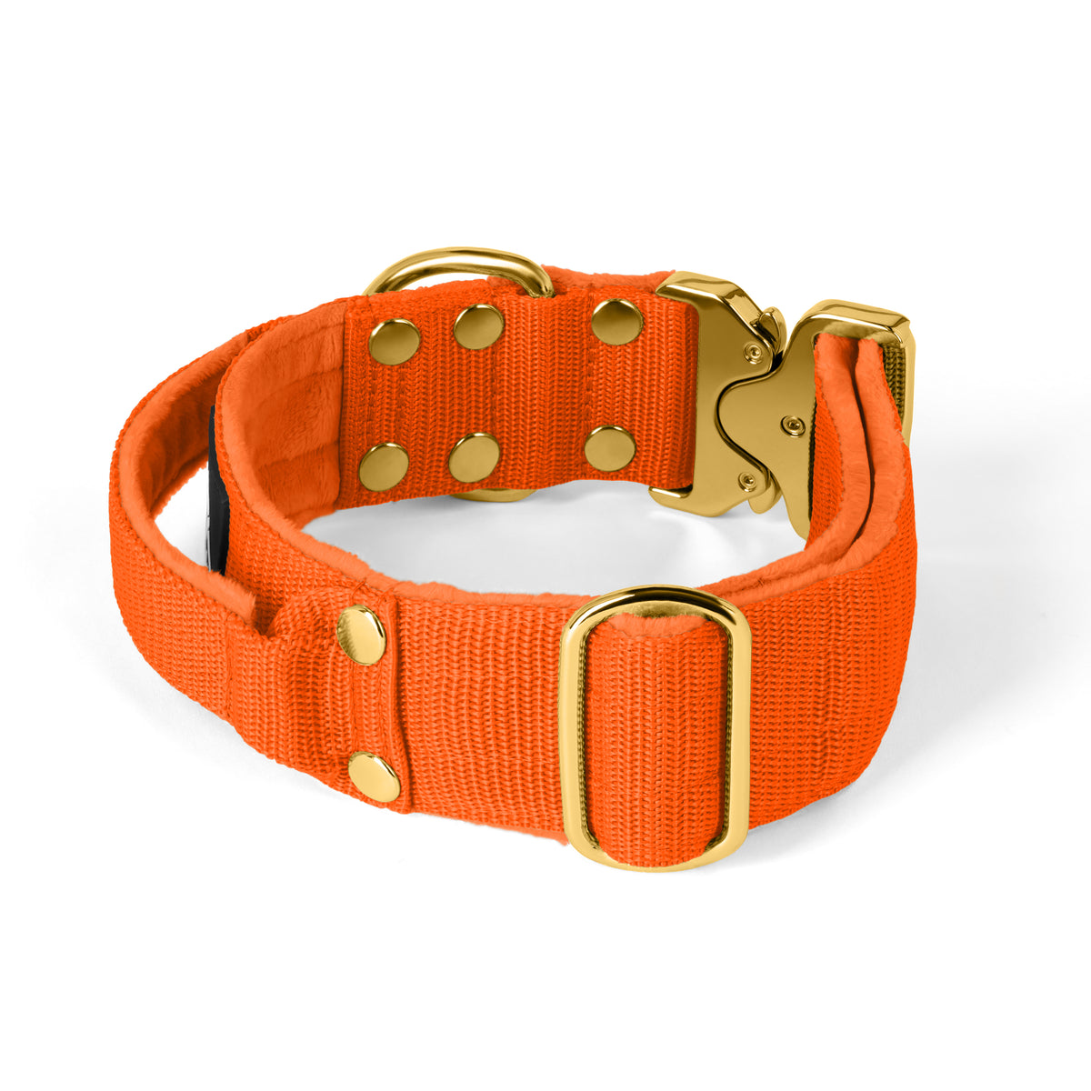 Extreme Buckle Gold Edition Orange