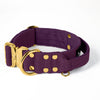 Extreme Buckle Gold Edition Plum