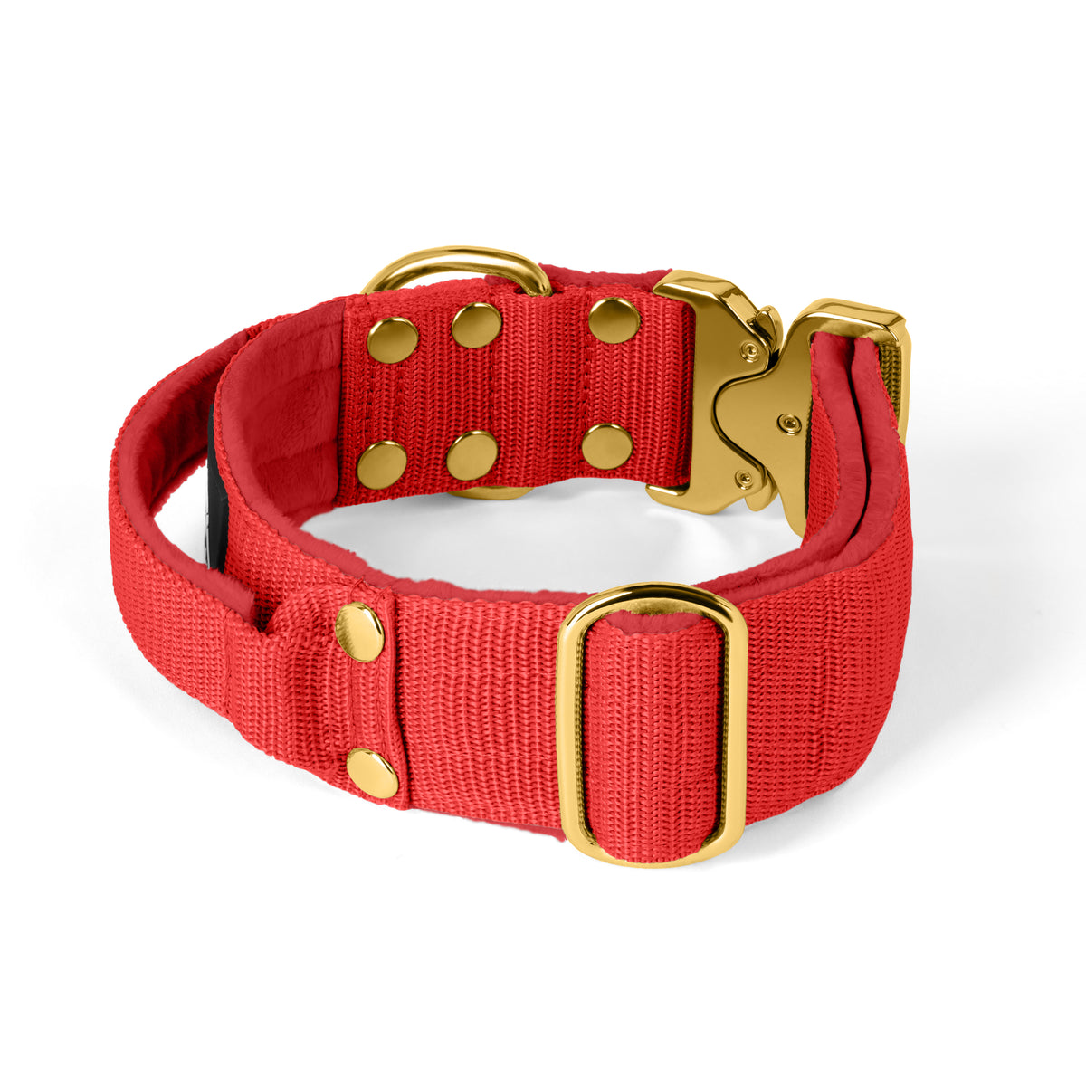 Extreme Buckle Gold Edition Red