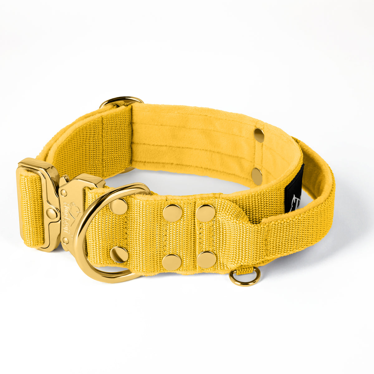 Extreme Buckle Gold Edition Yellow
