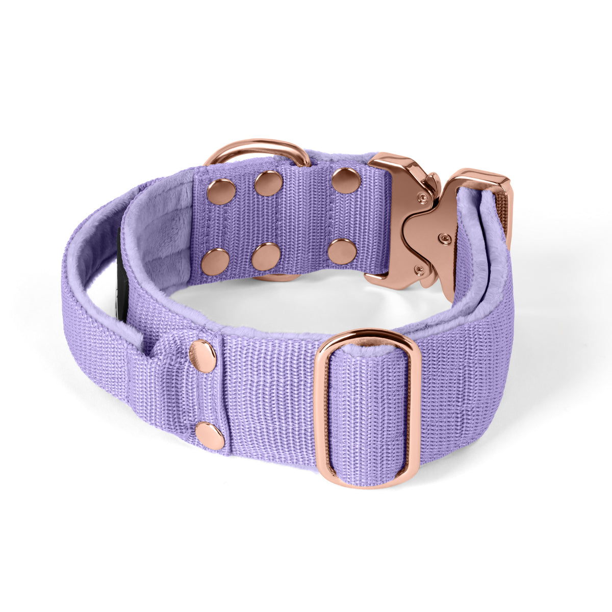 Extreme Buckle Rose Edition Baby Purple
