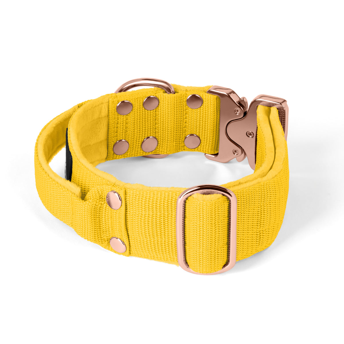 Extreme Buckle Rose Edition Yellow