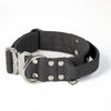 Extreme Buckle Silver Edition Dark Grey