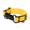 Martingale Black Edition Yellow