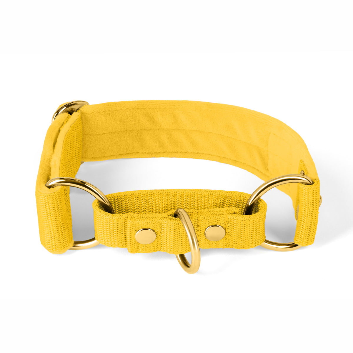 Martingale Gold Edition Yellow
