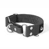 Martingale Silver Edition Dark Grey