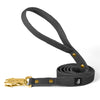 Walk Leash Gold Edition Dark Grey