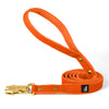 Walk Leash Gold Edition Orange