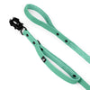 Guard Leash Black Edition Mint