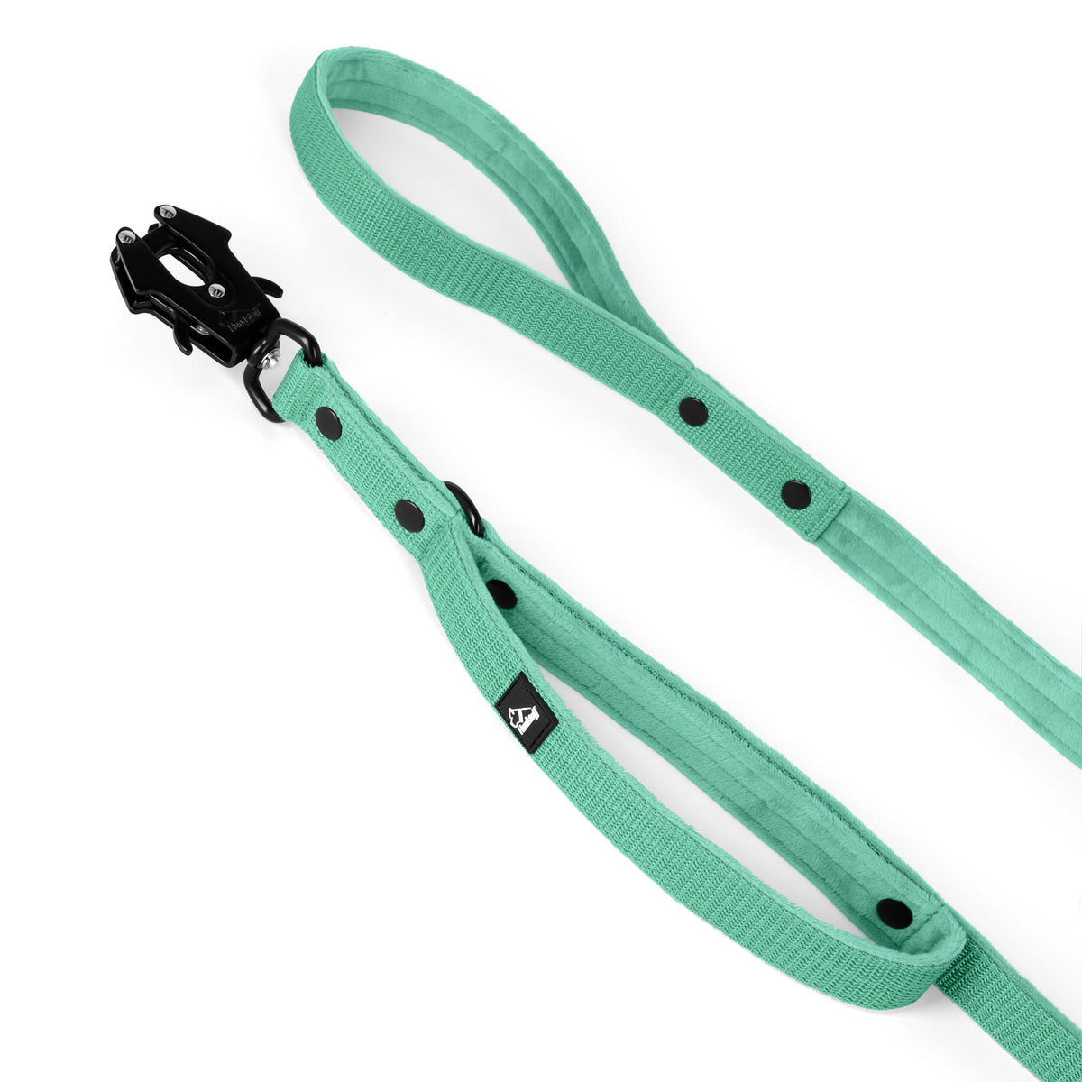 Guard Leash Black Edition Mint