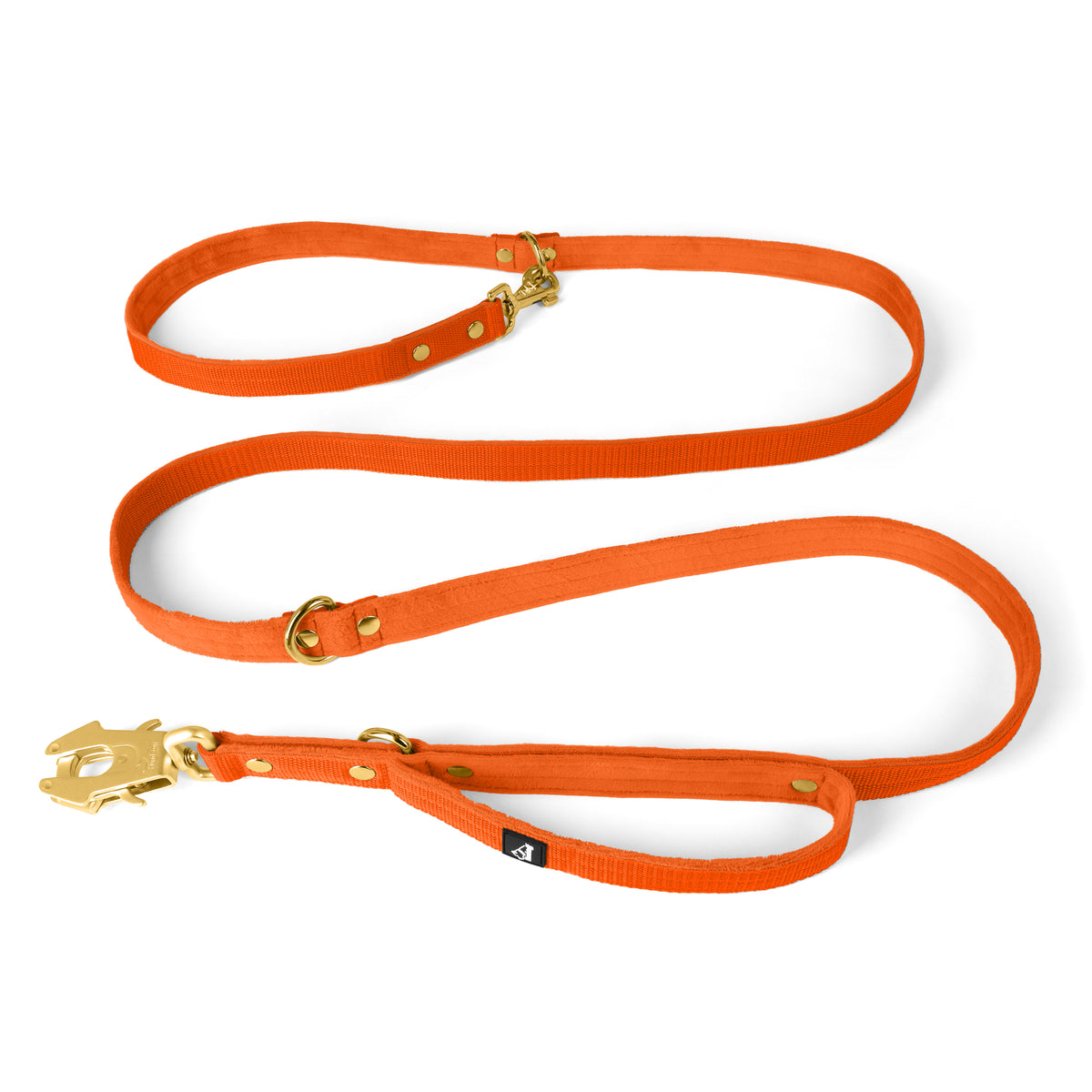 Multi Guard Leash Gold Edition Orange