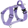 Easy Walk Extreme Baby Purple - Geschirr mit Schnellverschluss