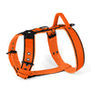 Easy Walk Black Edition Orange