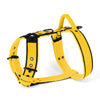 Easy Walk Black Edition Yellow