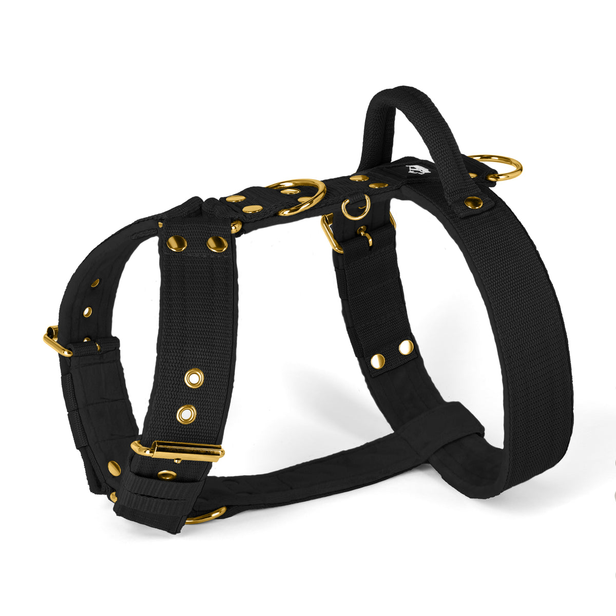 Easy Walk Gold Edition Black