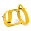 Easy Walk Gold Edition Yellow