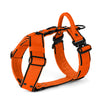 Easy Walk Extreme Black Edition Orange