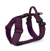 Easy Walk Extreme Black Edition Plum