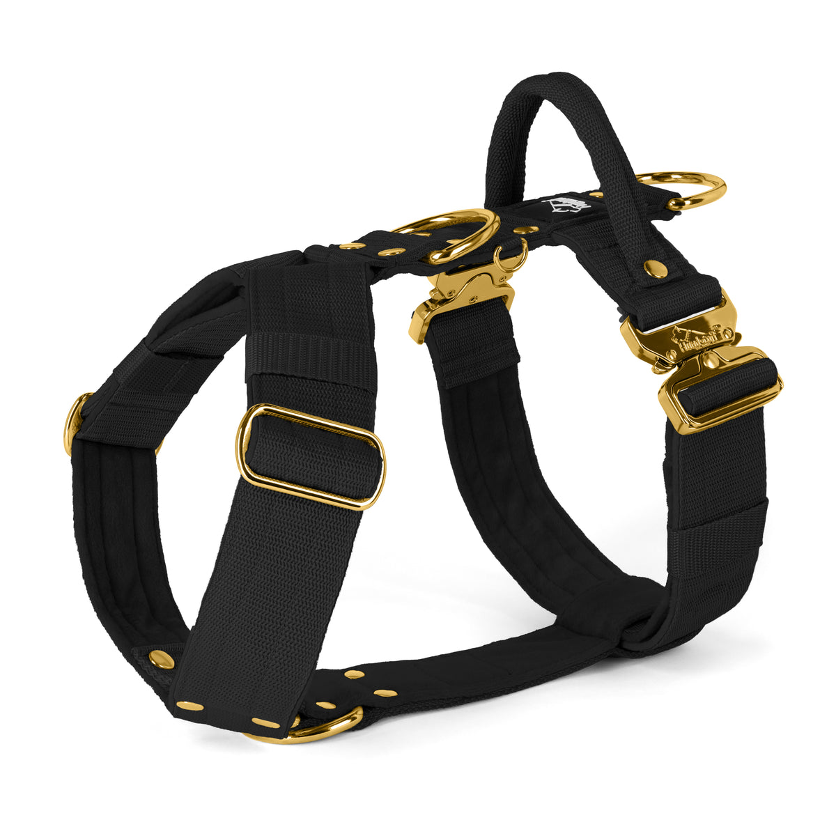 Easy Walk Extreme Gold Edition Black