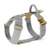 Easy Walk Extreme Gold Edition Grey