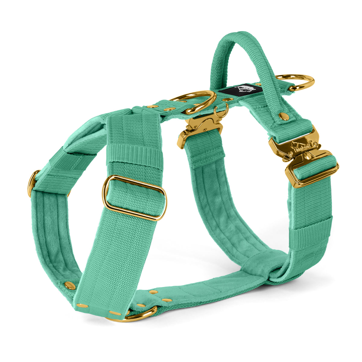 Easy Walk Extreme Gold Edition Mint