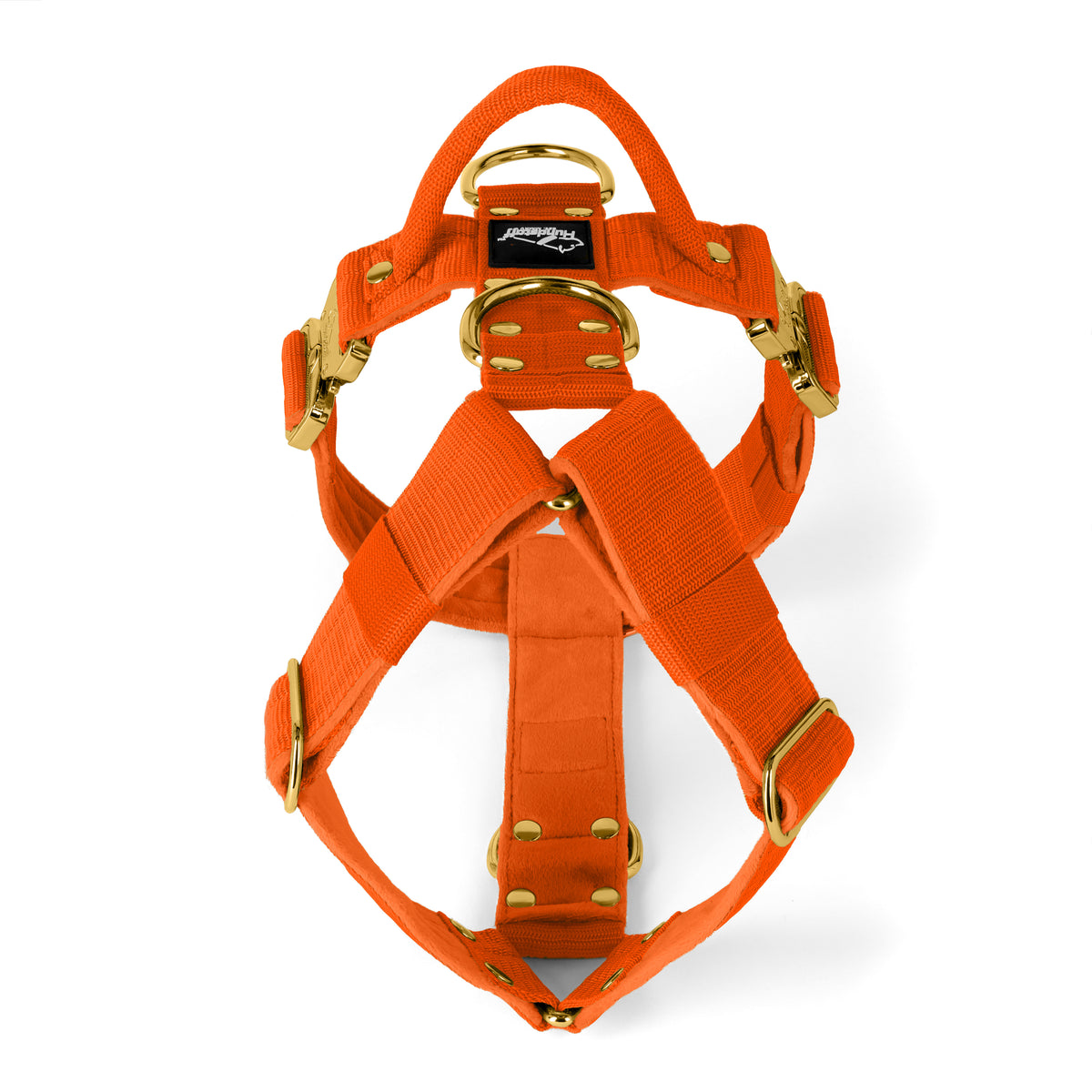 Easy Walk Extreme Gold Edition Orange